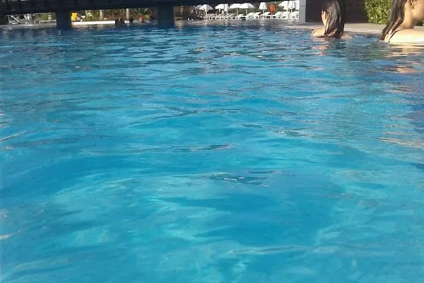 Gray Wolf Hotel - Resim 2