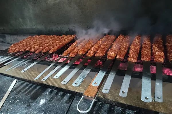 Diyar Tavukçuluk ızgara - Resim 4
