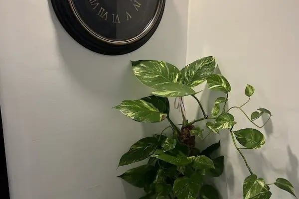 Uzm. Dr. Erdal Duman iç hastalıkları endokrinoloji ve metabolizma hastalıkları kliniği - Resim 17