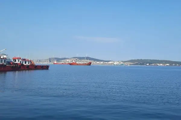 Aliağa Balıkçı Barınağı - Resim 12