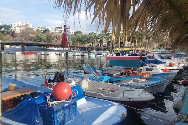 Aliağa Balıkçı Barınağı - Resim 3