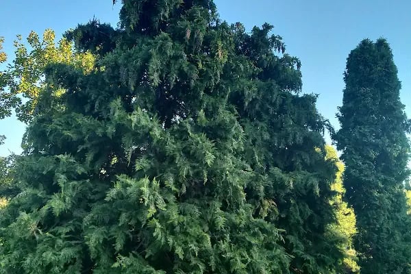 Büyükşehir Belediyesi Oyuncakistan - Resim 9