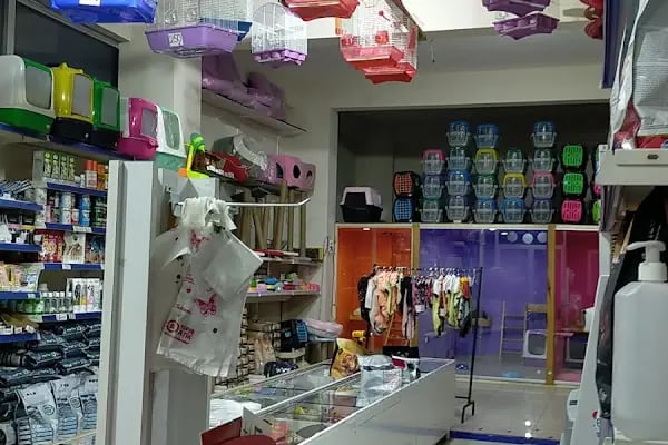 06 EFSANE PETSHOP - Resim 4
