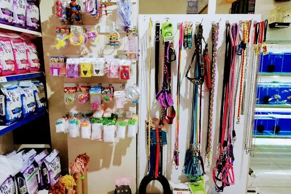 06 EFSANE PETSHOP - Resim 17