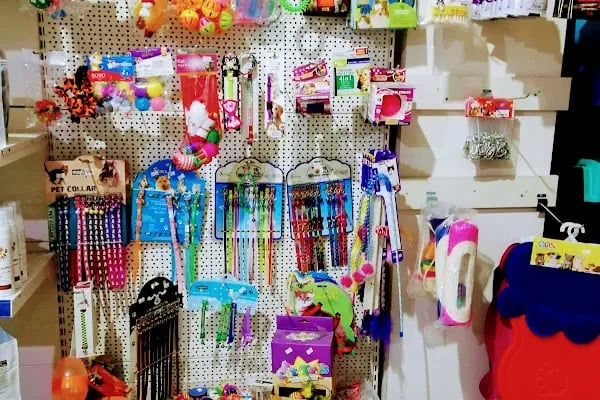 06 EFSANE PETSHOP - Resim 11