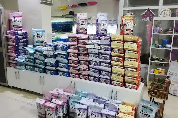 06 EFSANE PETSHOP - Resim 10