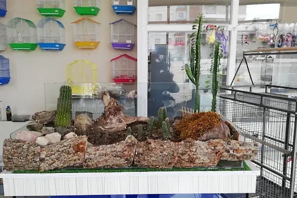 06 EFSANE PETSHOP - Resim 15