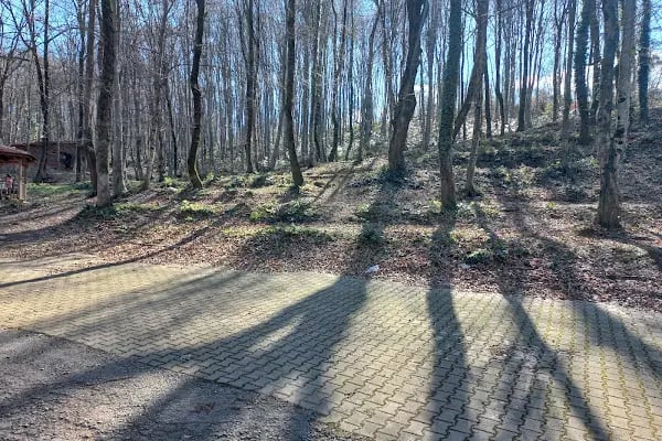 Kuzuluk Tabiat Parkı - Resim 5