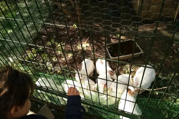 Kuzuluk Tabiat Parkı - Resim 18