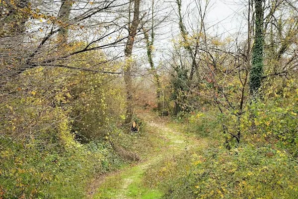 Kuzuluk Tabiat Parkı - Resim 7
