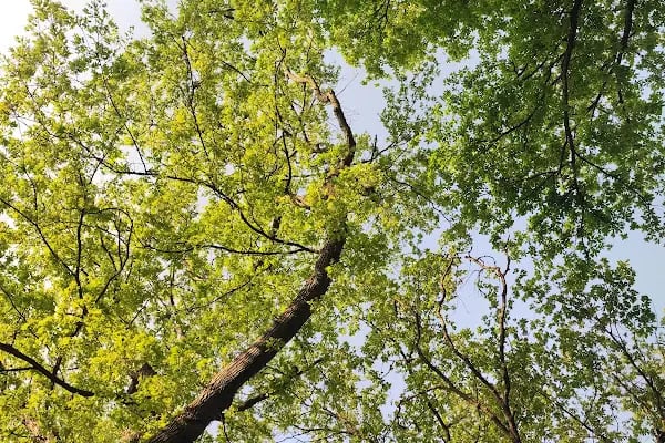 Kuzuluk Tabiat Parkı - Resim 10