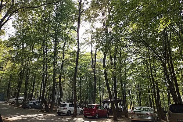 Kuzuluk Tabiat Parkı - Resim 3
