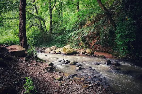 Kuzuluk Tabiat Parkı - Resim 15