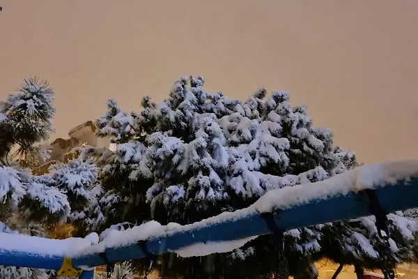 Aliya İzzetbegoviç Parkı - Resim 19