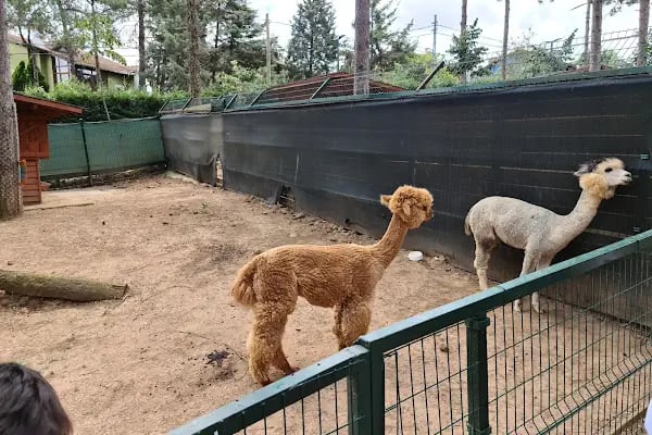 Faruk Yalçın Hayvanat Bahçesi ve Botanik Parkı - Resim 17