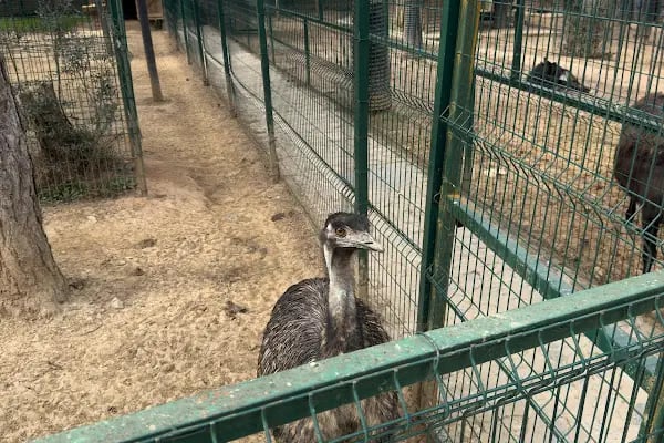 Faruk Yalçın Hayvanat Bahçesi ve Botanik Parkı - Resim 15
