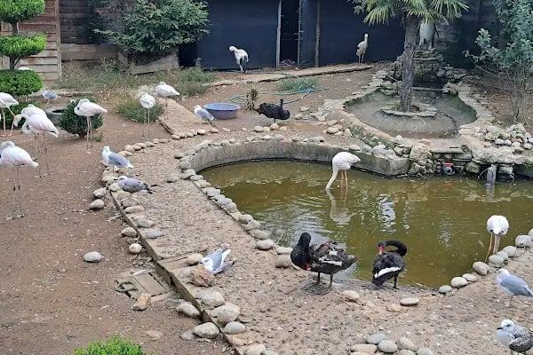 Faruk Yalçın Hayvanat Bahçesi ve Botanik Parkı - Resim 11