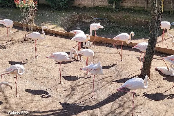 Faruk Yalçın Hayvanat Bahçesi ve Botanik Parkı - Resim 12