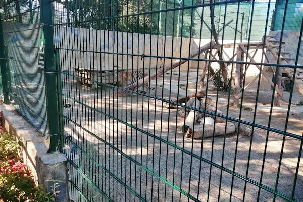 Faruk Yalçın Hayvanat Bahçesi ve Botanik Parkı - Resim 9