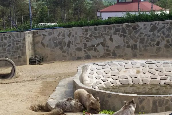 Faruk Yalçın Hayvanat Bahçesi ve Botanik Parkı - Resim 20