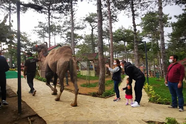 Faruk Yalçın Hayvanat Bahçesi ve Botanik Parkı - Resim 1