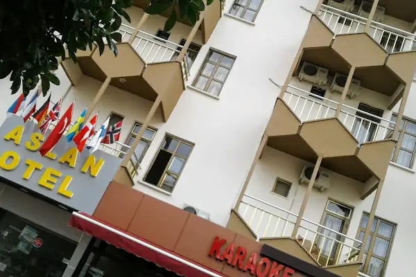 ASLAN CORNER HOTEL - Resim 14