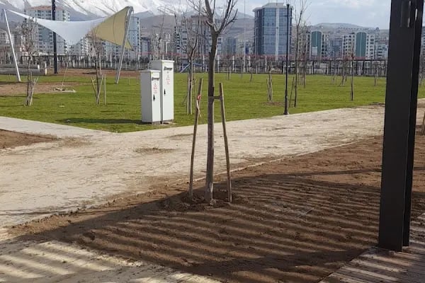 Malatya 100.yil parki - Resim 6