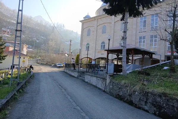 Ağaçlı Mahallesi Merkez Camii - Resim 8