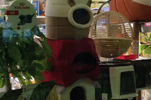 STORE PET SHOP - Resim 14