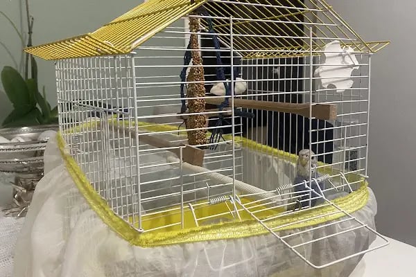 STORE PET SHOP - Resim 15
