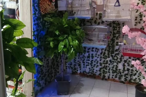 STORE PET SHOP - Resim 8