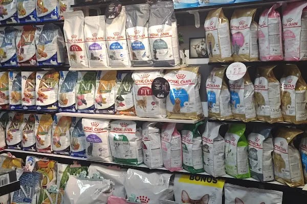 STORE PET SHOP - Resim 3