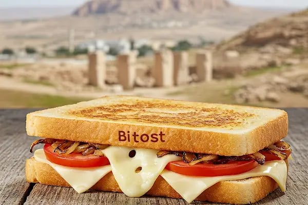 BİTOST - Resim 2