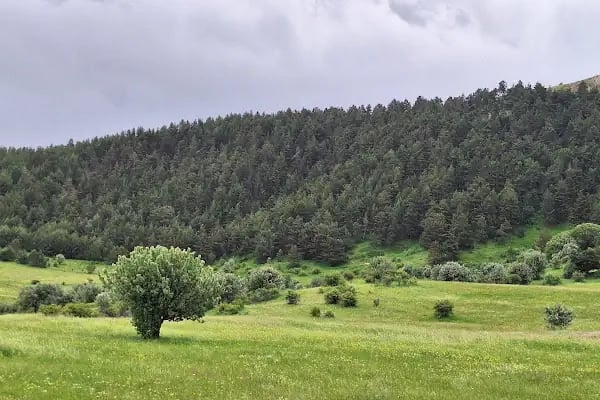 Ay Kayası Mesire Alanı - Resim 7
