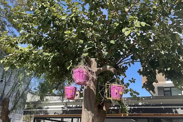 Taş Park Cafe - Resim 9