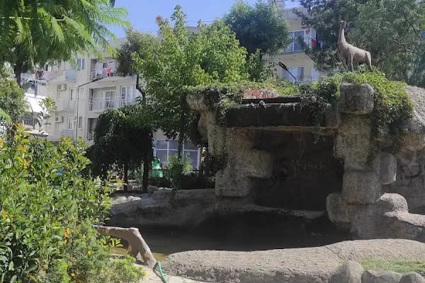 Taş Park Cafe - Resim 12