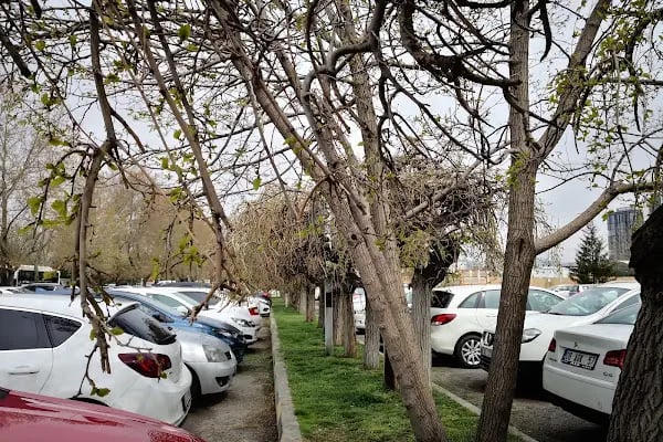 19 Mayıs Spor Tesisleri - Resim 15