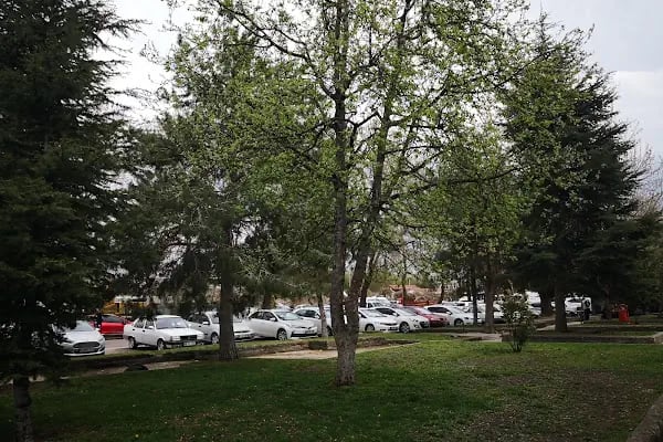 19 Mayıs Spor Tesisleri - Resim 8