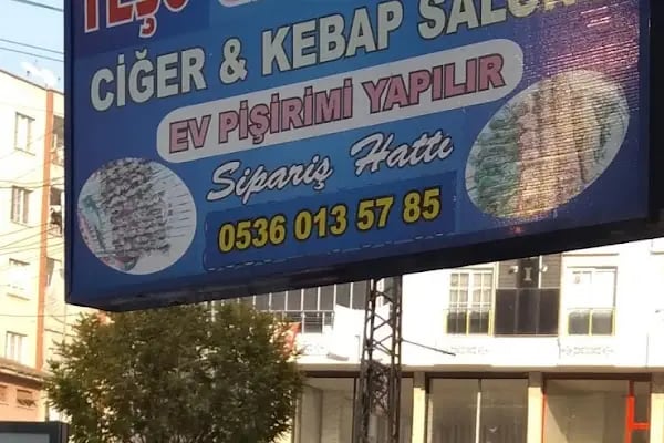 Teşo Ciğer - Resim 10