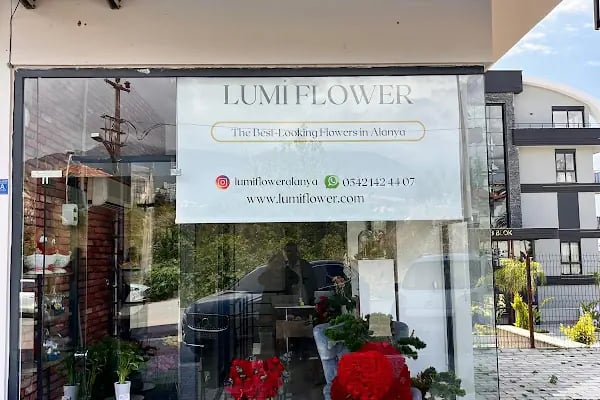 Lumi Flower - Resim 2