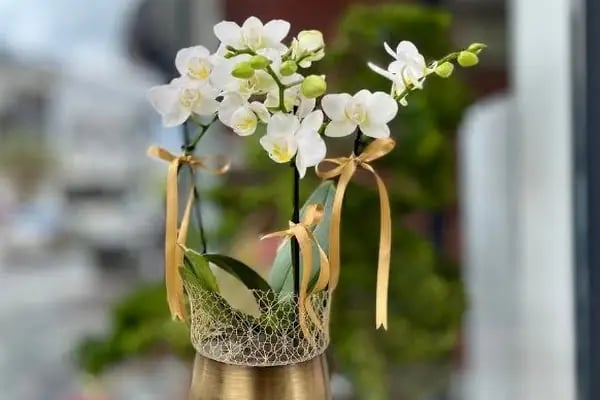 Lumi Flower - Resim 15