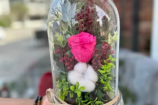 Lumi Flower - Resim 18