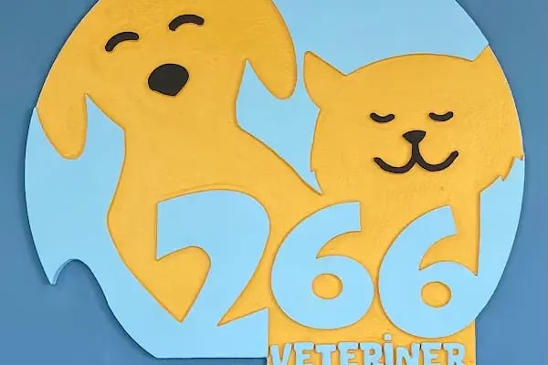 Karesi 266 Veteriner Kliniği - Resim 11