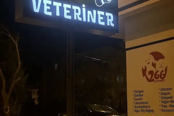 Karesi 266 Veteriner Kliniği - Resim 3