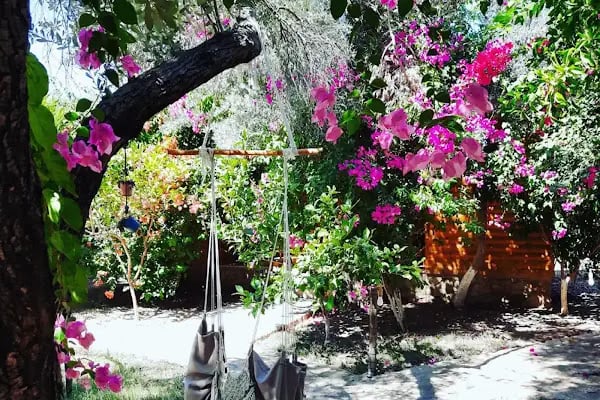 Aylin Ahşap Evler &amp; Restaurant - Resim 12