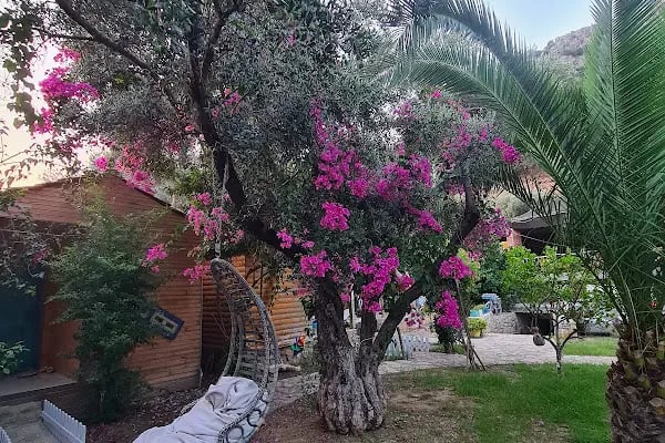Aylin Ahşap Evler &amp; Restaurant - Resim 20