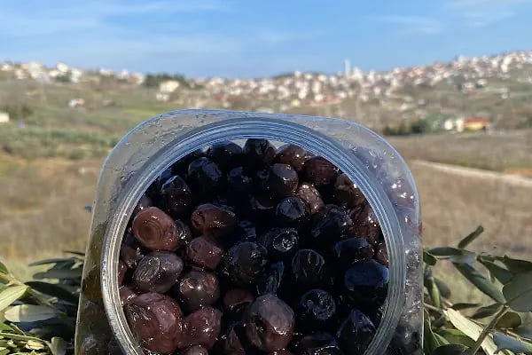 Yıldız Organik Gıda - Resim 12