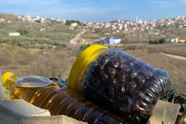 Yıldız Organik Gıda - Resim 15