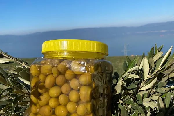 Yıldız Organik Gıda - Resim 11