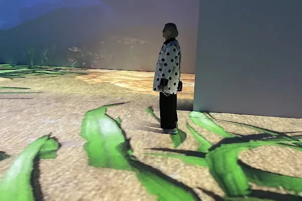 X Media Art Museum - Resim 20